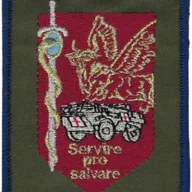 SSA : Régiment Médical Félin type 3 1ère CMC