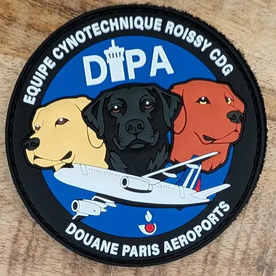 DIPA - Equipe Cyno