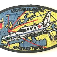 Escadrille Avions de l'Armée de Terre