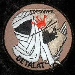 Détachement ALAT - Epervier
