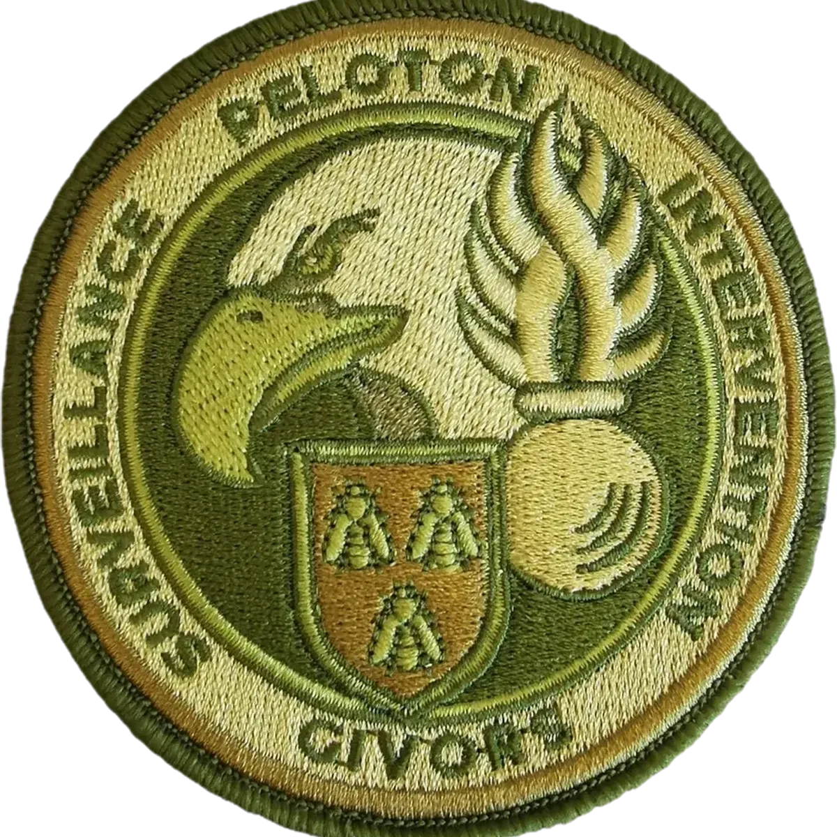 PSIG Givors