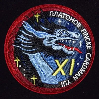 Dragon Crew-11
