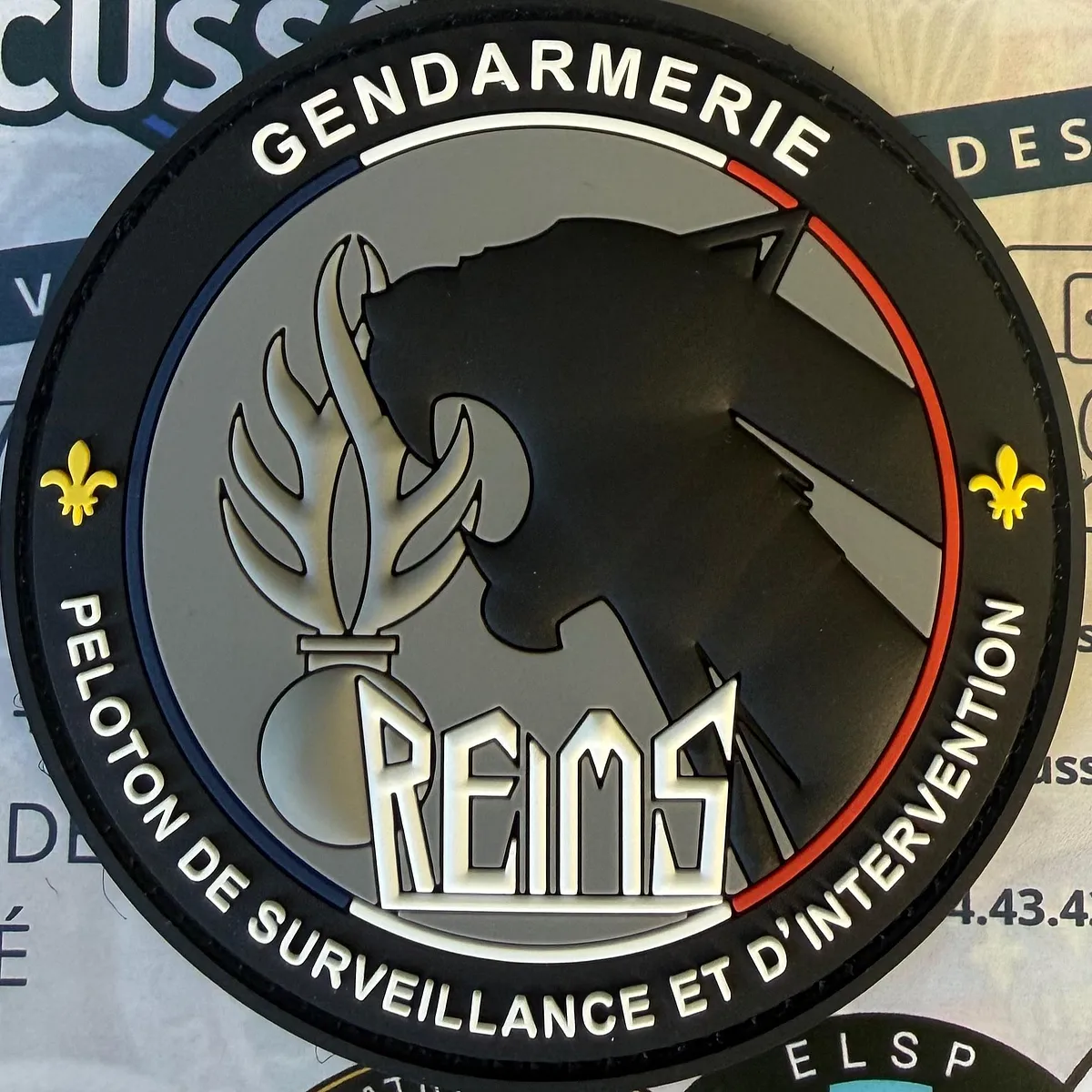 Gendarmerie PSIG Reims couleur 
