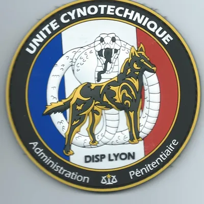 Cynotechnie pénitentiaire - DISP - Lyon