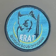 École du Renseignement de l’Armée de Terre-Division des sous-officiers