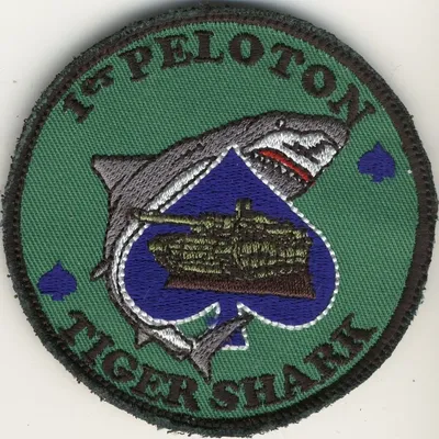 12ème Régiment de Cuirassiers - 3ème Escadron - 1er Peloton