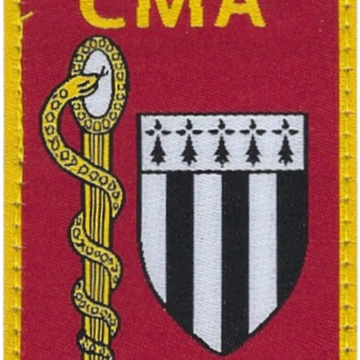SSA : CMA Rennes (15ème CMA) Type 2 Couleurs