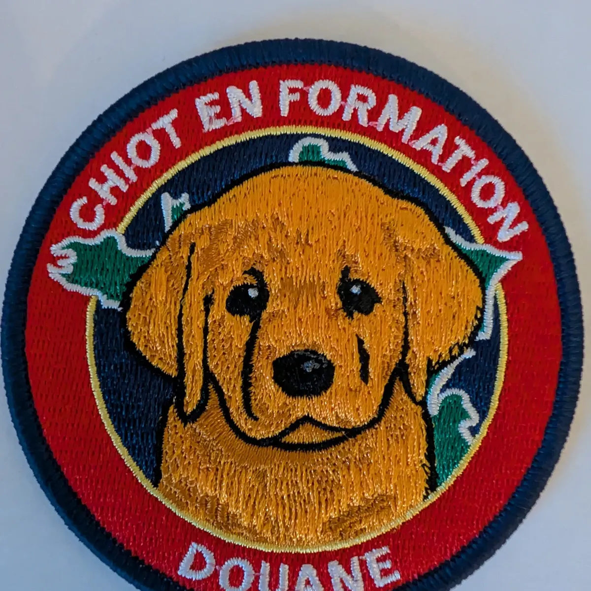 Chiot en formation