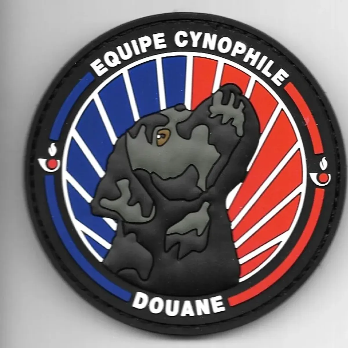 Douane - équipe cynophile -Labrador Noir 