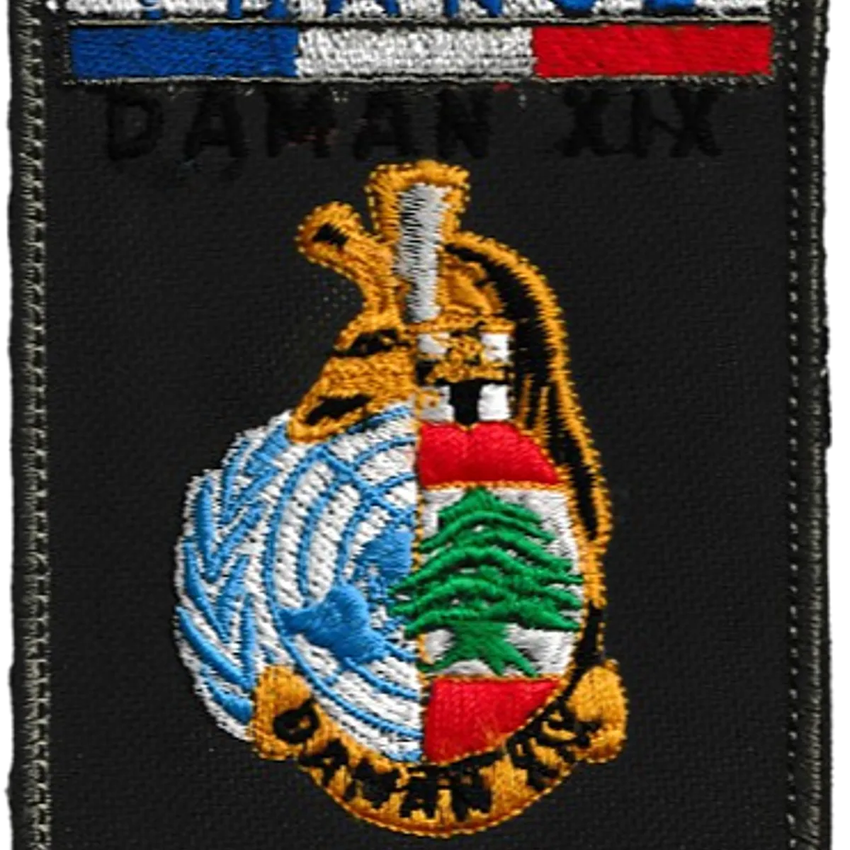 4ème Régiment de Dragons - Opération Daman XIX