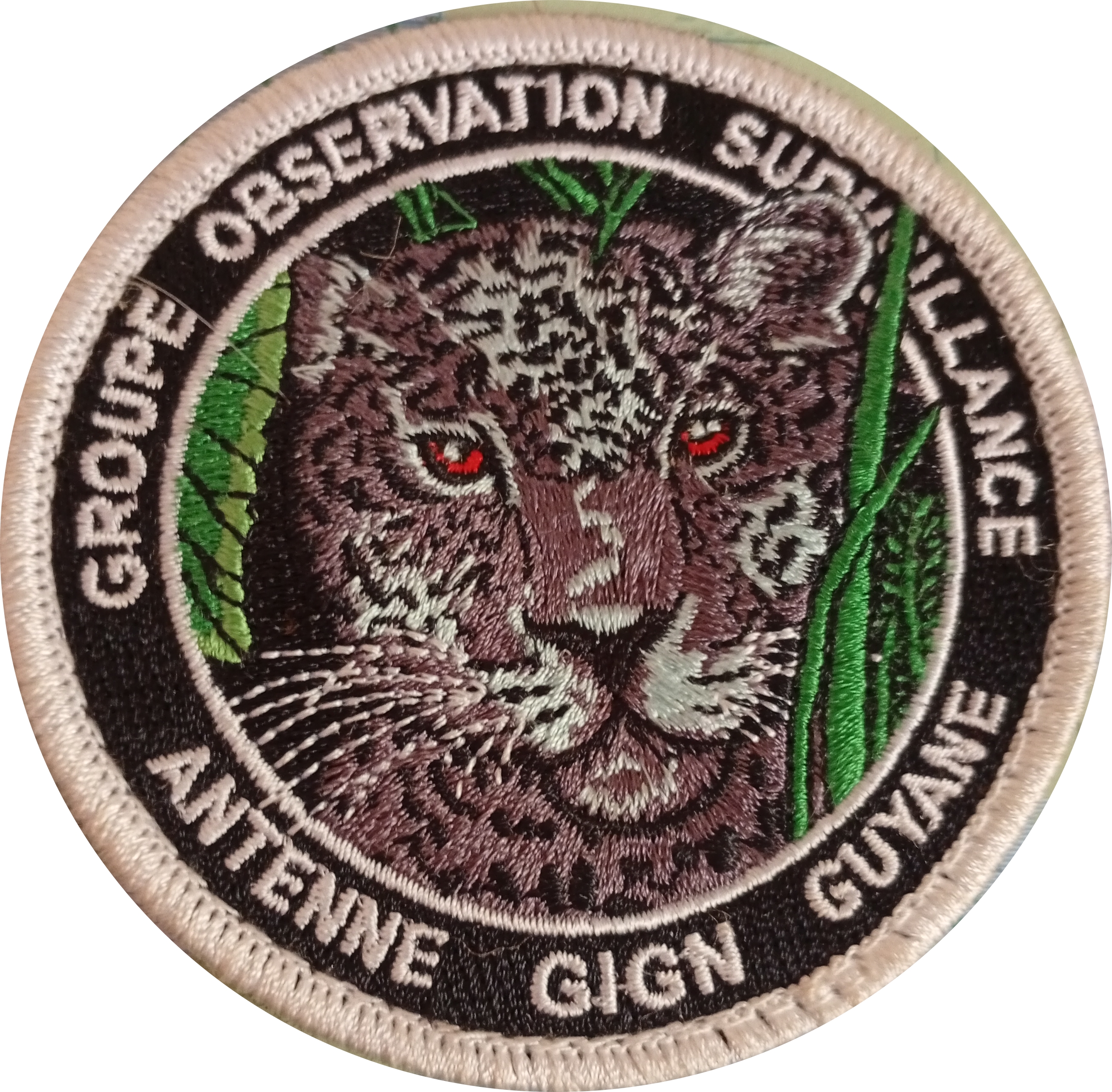 Antenne GIGN Guyane - GOS