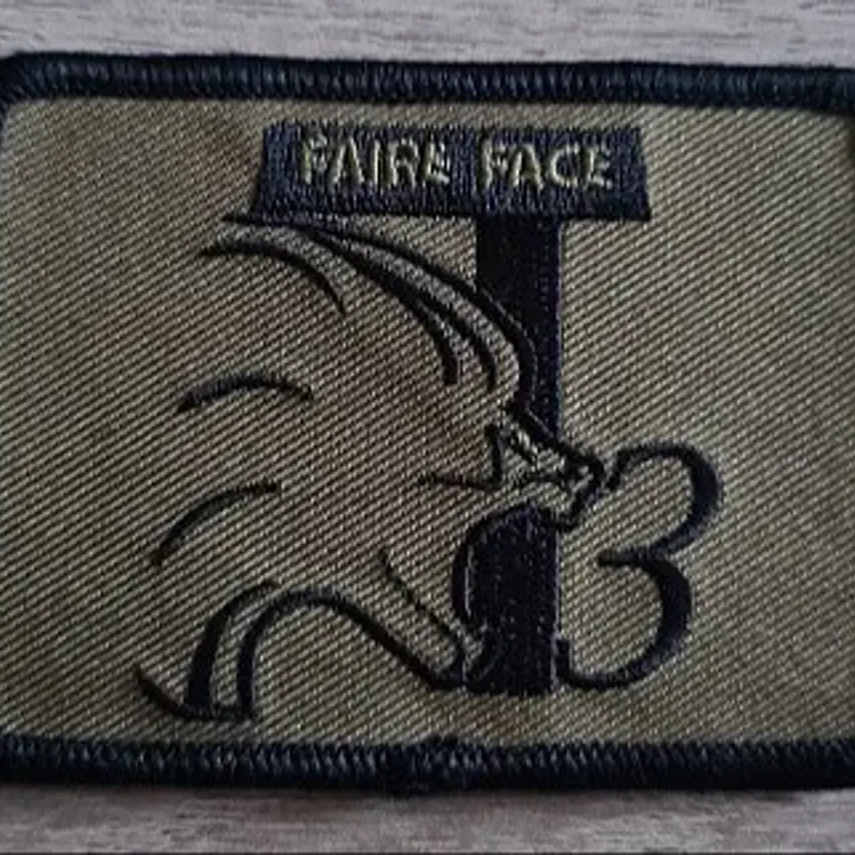 53e RT / 3e Cie / Faire face