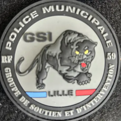 Police Municipale Lille - GSI