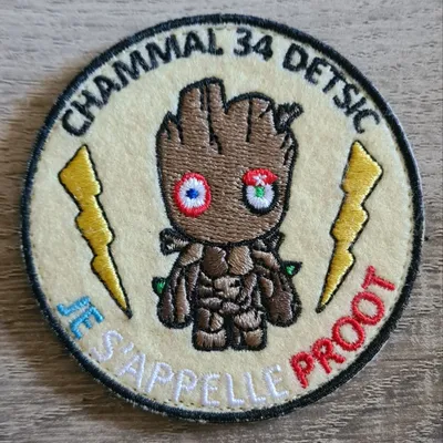 CHAMMAL 34 / DETSIC