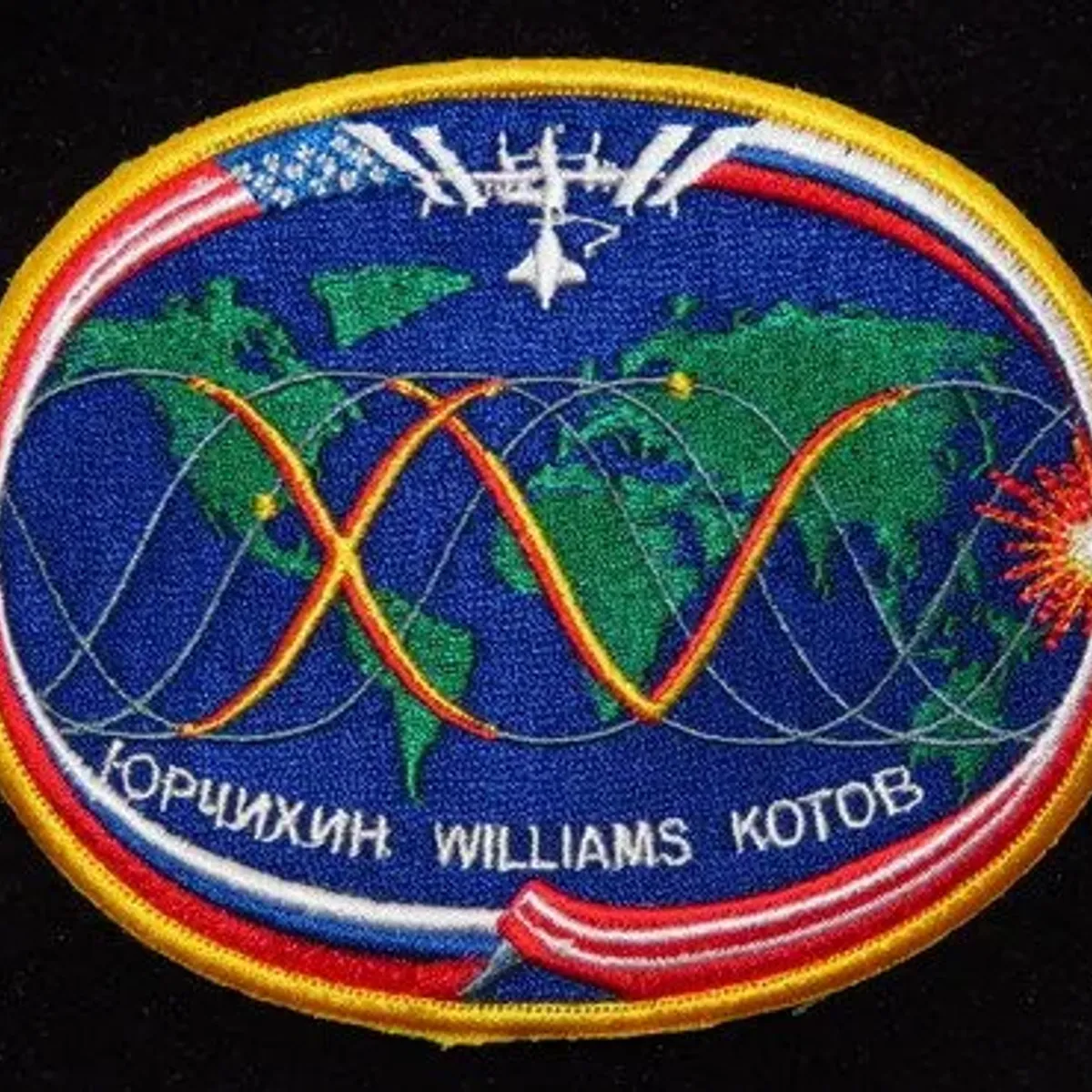 ISS-15 Williams