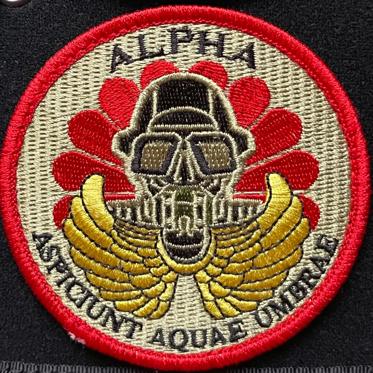 13e RDP - 2ème Escadron - Groupe ALPHA