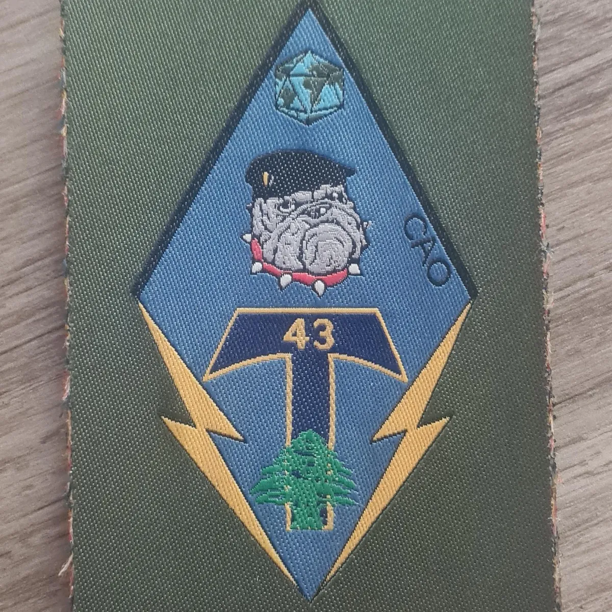 CNSO / 43e BT / Compagnie d'Appui Opérationnelle