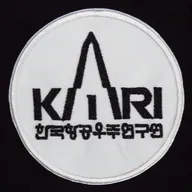 Agence spatiale sud-coréenne KARI