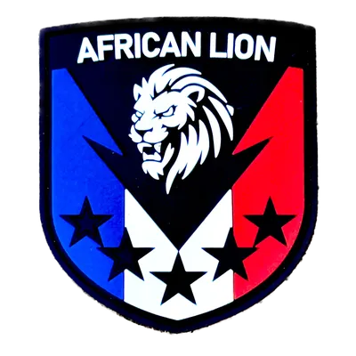 GCP - AFRICAN LION