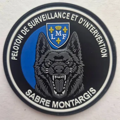 PSIG - Montargis