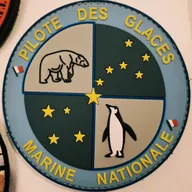 Pilote des glaces