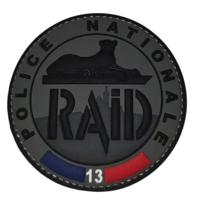 RAID 13