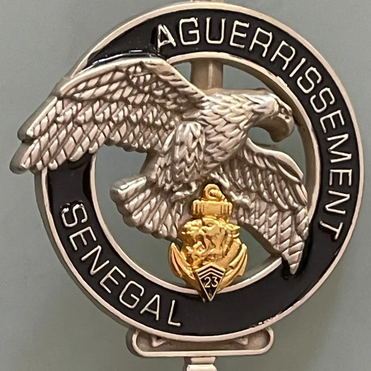 13e BIMa, Aguérrissement Sénégal