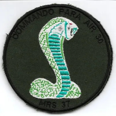 CPA 30 - MRS 37 