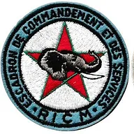Régiment d'Infanterie Chars de Marine - Escadron de Commandement et des Services