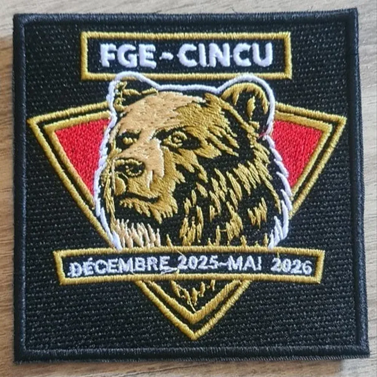 AIGLE XII / SGTRS / 40e RT / FGE CINCU
