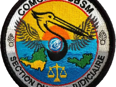 Section d'appui Judiciaire (SAJ)