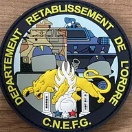 Département Rétablissement de l’Ordre - CNEFG
