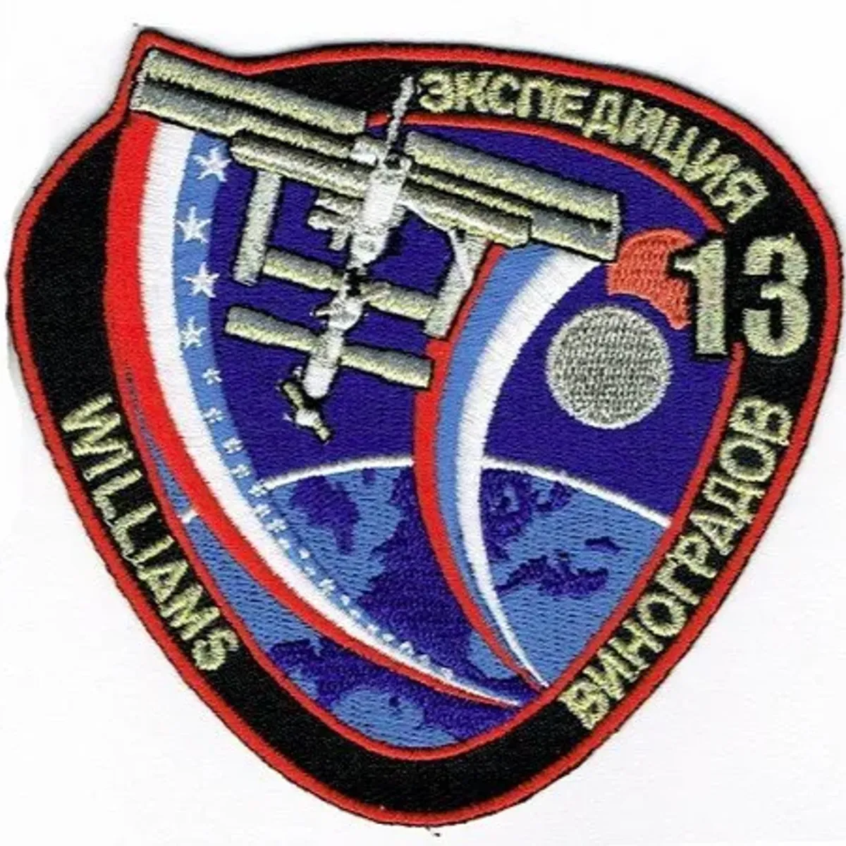 ISS-13 Vinogradov
