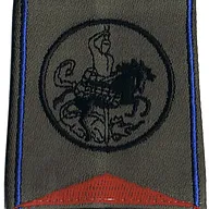 Passant d'épaule du Groupe d'Escadrons 2ème Régiment de Chasseurs - 1er Escadron (V1)