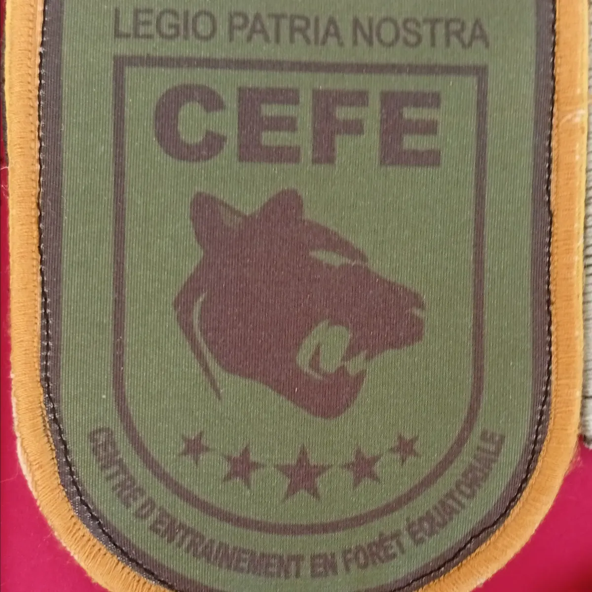 CEFE