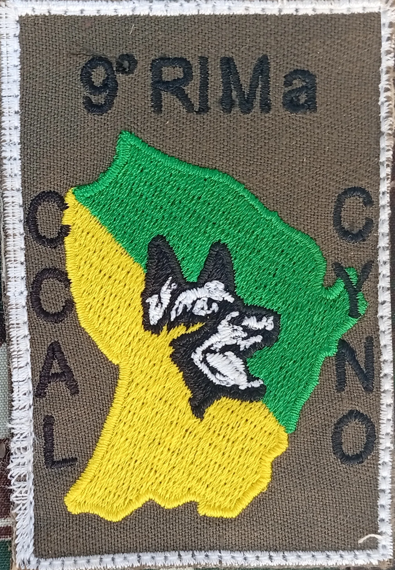 9 ème Rima - CCAL - Cyno