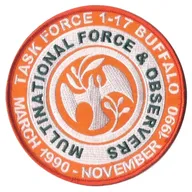 Multinational Force & Observers / Task Force 1-17 Buffalo