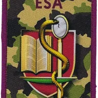 SSA : ESA Lyon Bron