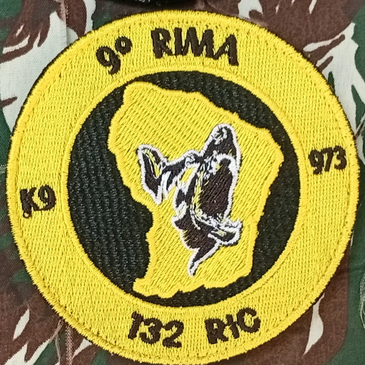 9e RIMa - 132 RIC - K9