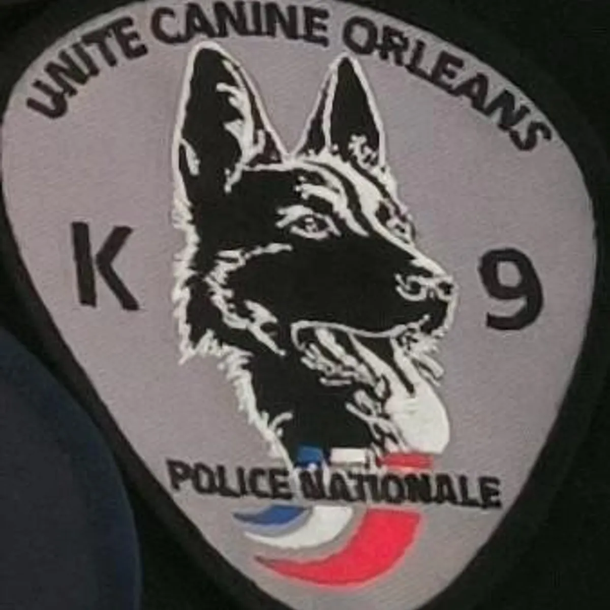 Brigade canine - Orléans K9