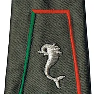Passant d'épaule du 12ème Régiment de Cuirassiers - Escadron de Maintenance Régimentaire