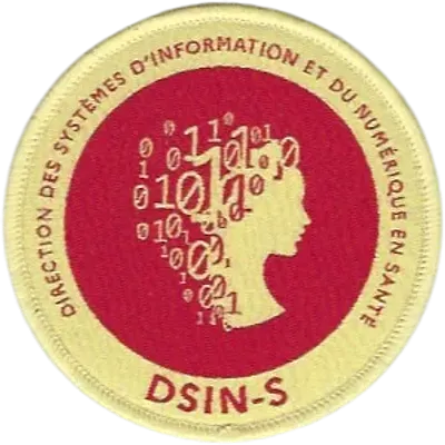 SSA : Direction des Systèmes d'Information et du Numérique - Santé DSIN-S
