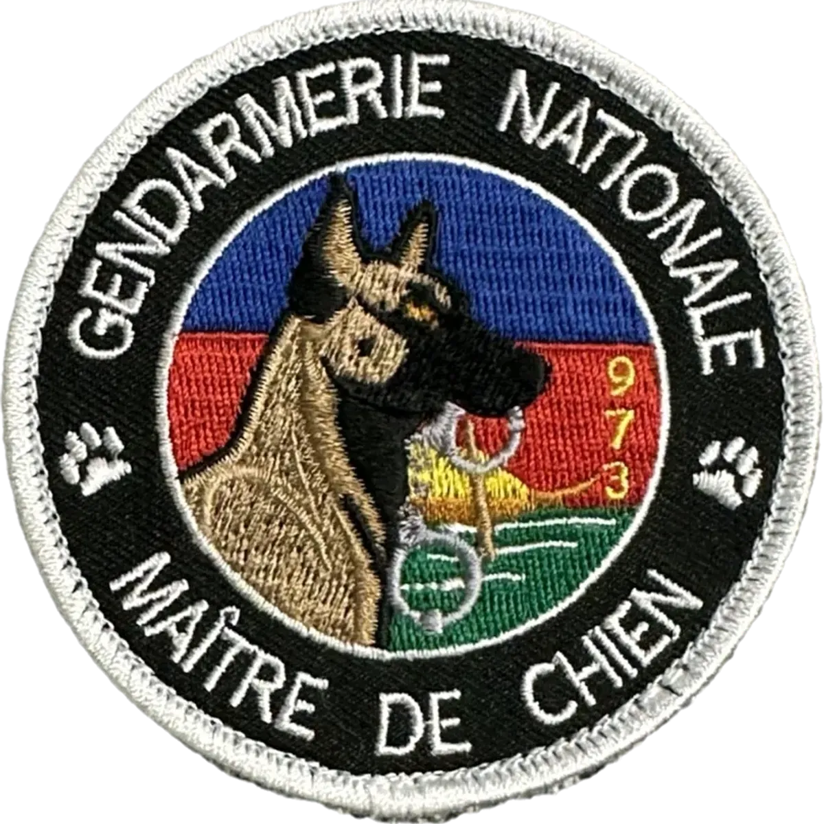 Maître de chien Guyane 973