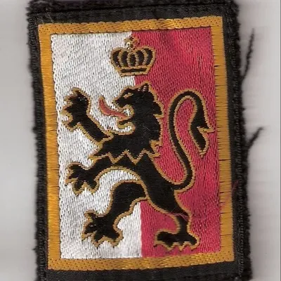 8e Division d'Infanterie (1990)