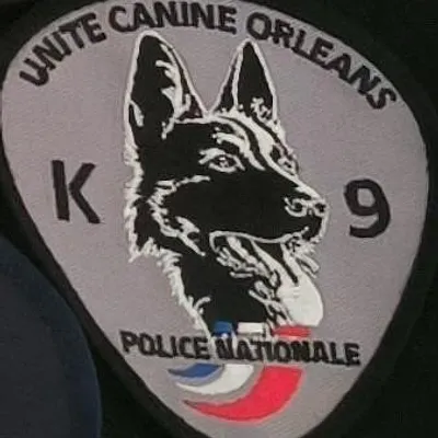 Brigade canine - Orléans K9