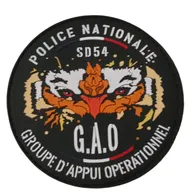 GAO 54
