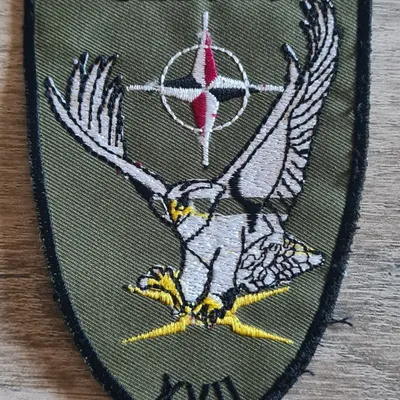 PAMIR / GERFAUT XVII / Guerre Électronique / 44e RT