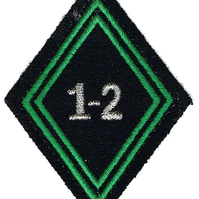 Losange de bras du 1er-2ème Régiment de Chasseurs - Modèle cadre