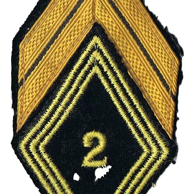 Losange de bras du 2ème Régiment de Chasseurs d'Afrique - Brigadier