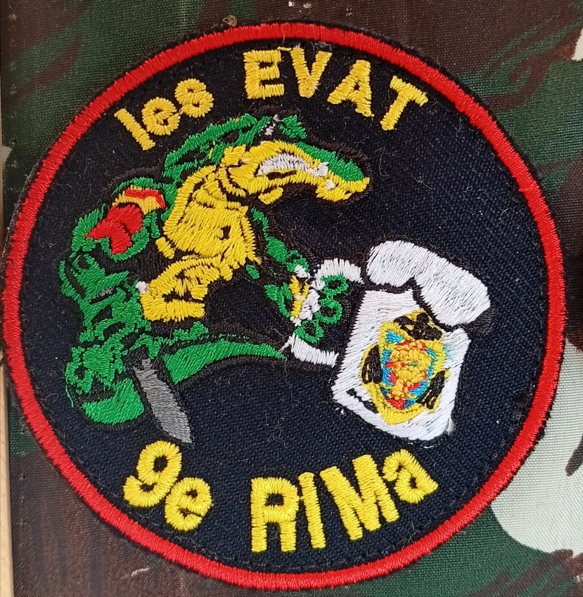9e RIMa - Les EVAT